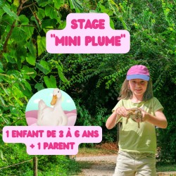 Stage Mini plume (3-6 ans +...