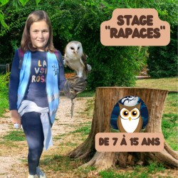 Stage Rapaces (7-15 ans)